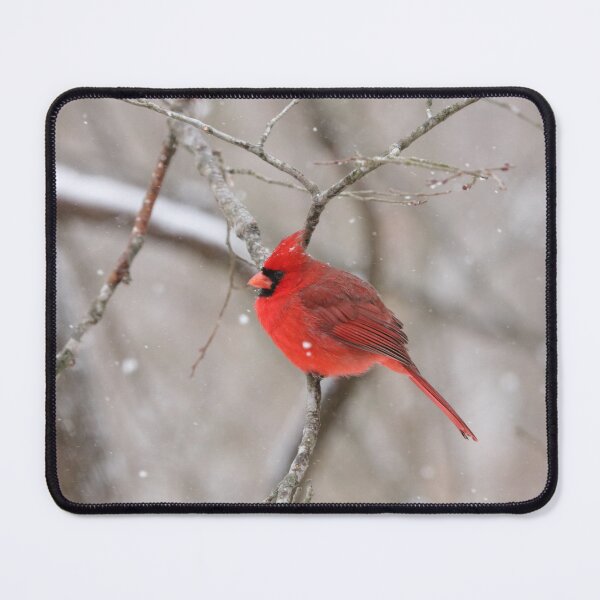 Item preview, Red Cardinal designed and sold by MelKowasic.