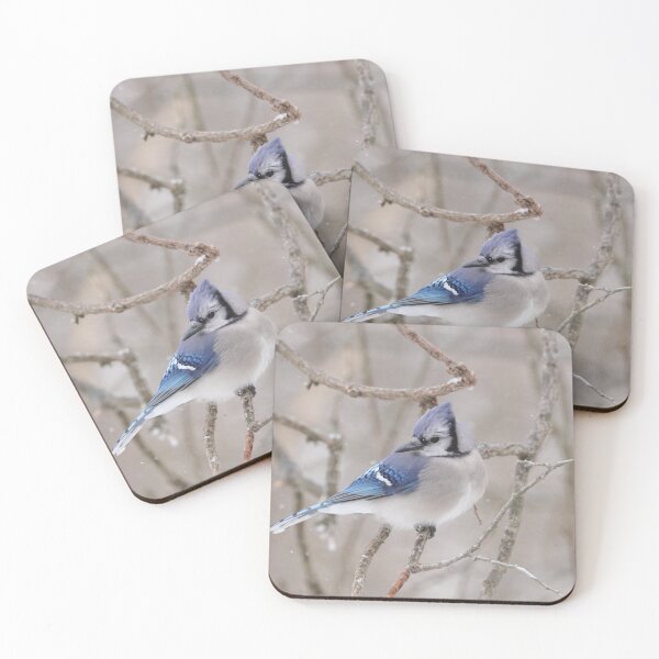 Item preview, Blue Jay designed and sold by MelKowasic.