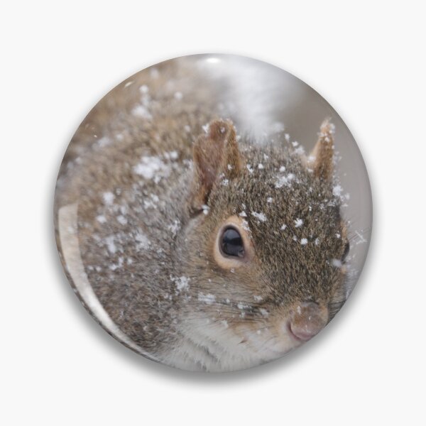 Item preview, Squirrel designed and sold by MelKowasic.