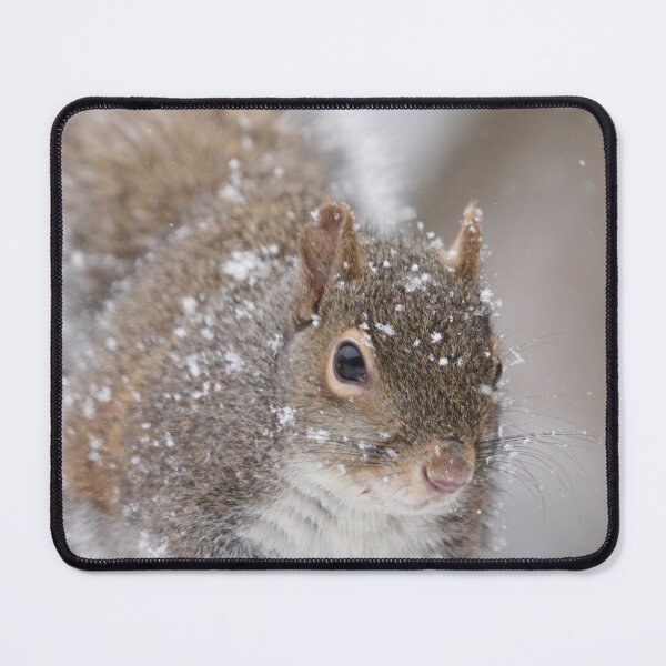 Item preview, Squirrel designed and sold by MelKowasic.