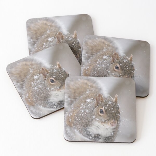 Item preview, Squirrel designed and sold by MelKowasic.