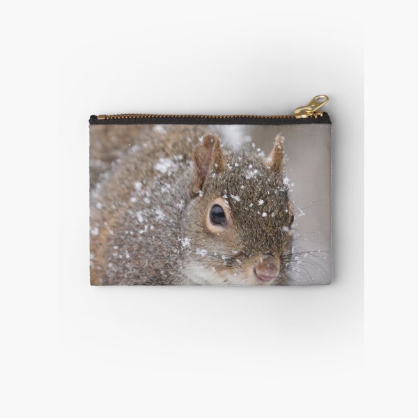 Item preview, Squirrel designed and sold by MelKowasic.