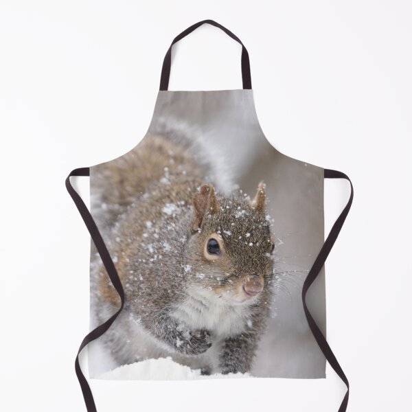 Item preview, Squirrel designed and sold by MelKowasic.