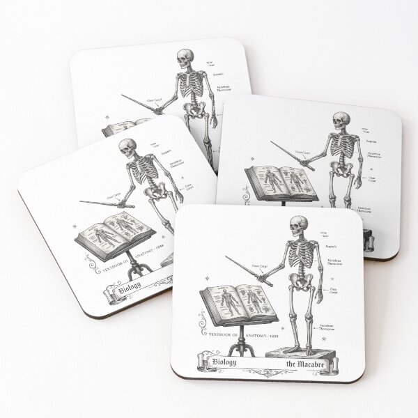 Item preview, Biology 101 Dissecting the Macabre Vintage Skeleton Anatomy Medical Sketch sticker designed and sold by KreatoLab.