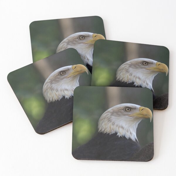 Item preview, Bald Eagle designed and sold by MelKowasic.