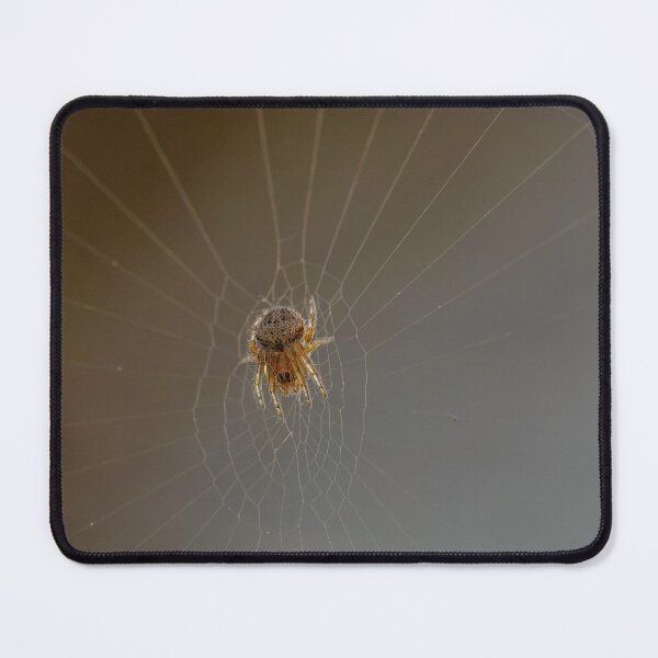 Item preview, Tiny Spider designed and sold by Ralph Goldsmith.