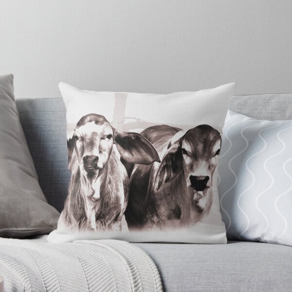Item preview, BRAHMAN CALVES, GORGIOUS CATTLE FOR COUNTRY THEMED HOME DECOR, WALL ART, COUNTRY WEAR AND MORE designed and sold by Barbara Jean Photo Art And Design.