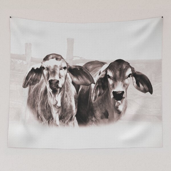 Artikelvorschau, Brahmanische Kälber, wunderschöne Rinder für Wohndekoration, Wandkunst, Country-Kleidung und mehr entworfen und verkauft von Barbara Jean Photo Art And Design.