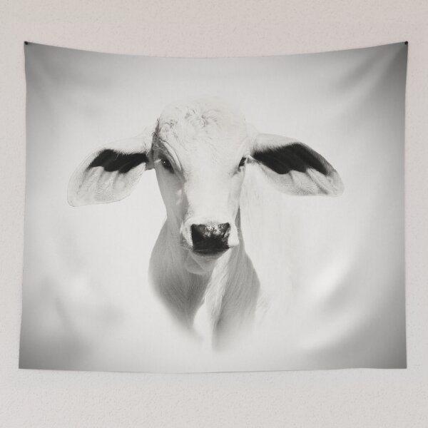 Item preview,   BRAHMAN CALF, FOR COUNTRY THEMED DESIGNS designed and sold by Barbara Jean Photo Art And Design.
