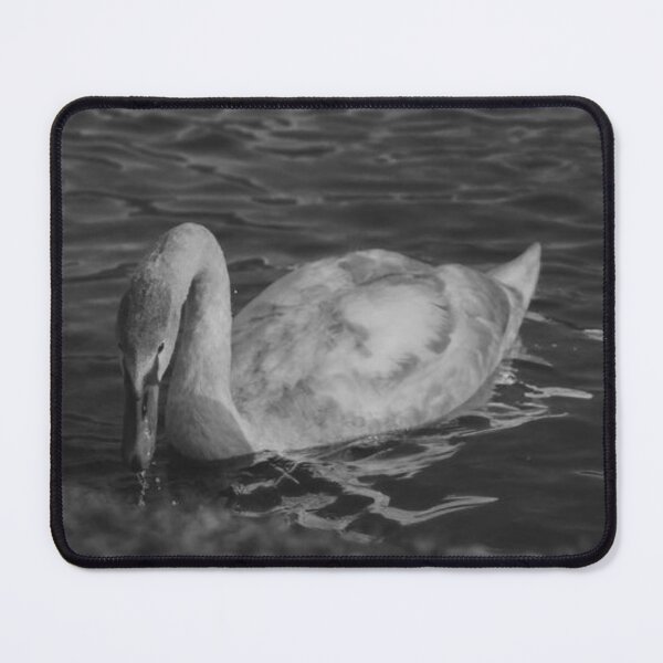 Item preview, Elegant Mute Swan Drinking in Dark Water designed and sold by PhaidraKarole.