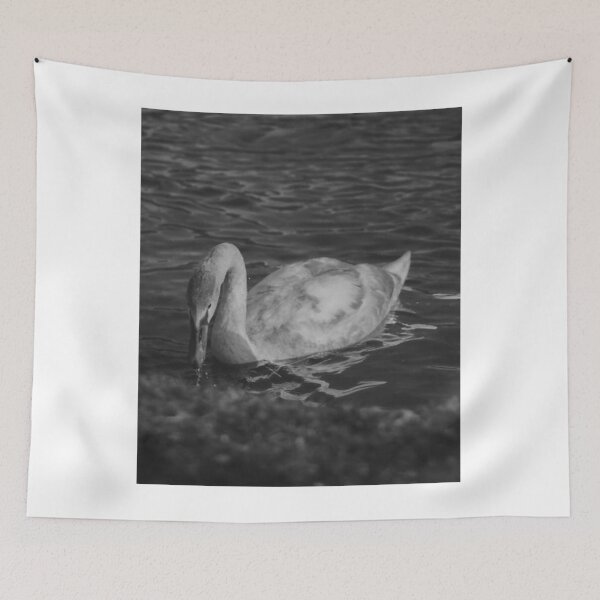 Item preview, Elegant Mute Swan Drinking in Dark Water designed and sold by PhaidraKarole.