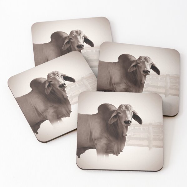 Item preview, BRAHMAN BULL, FOR COUNTRY THEMED DESIGNS designed and sold by Barbara Jean Photo Art And Design.