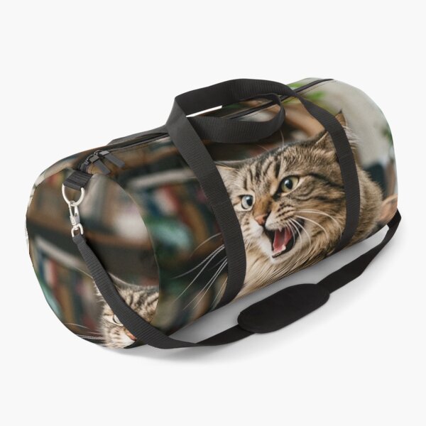 Item preview, Cat meme composition at high resolution designed and sold by Solomon-Ent-144.