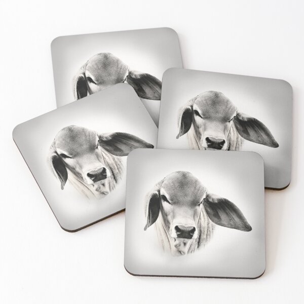 Item preview,  BRAHMAN CALF, FOR COUNTRY THEMED DESIGNS designed and sold by Barbara Jean Photo Art And Design.