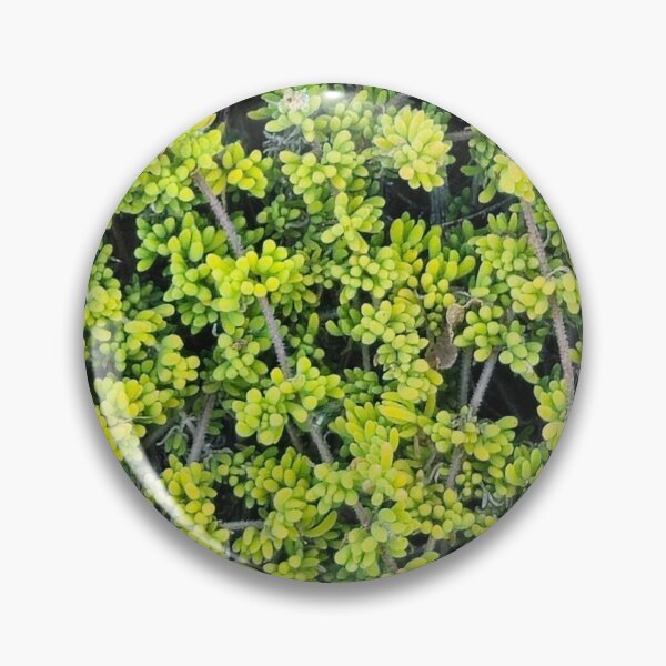 Item preview, Radial Green and Yellow Longleaf Pine Needles Pattern designed and sold by Yanshuf.