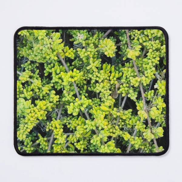 Item preview, Radial Green and Yellow Longleaf Pine Needles Pattern designed and sold by Yanshuf.