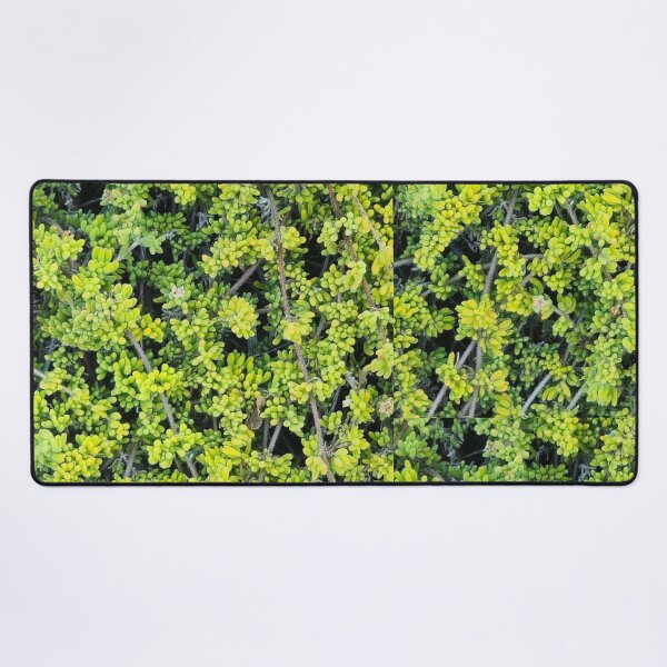 Item preview, Radial Green and Yellow Longleaf Pine Needles Pattern designed and sold by Yanshuf.