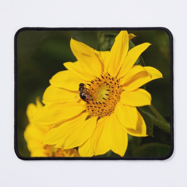 Item preview, Bright Yellow Sunflower Head with Honey Bee designed and sold by Dorset Girl.