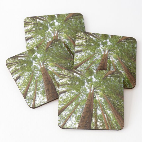 Item preview, Redwood Trees designed and sold by Rachel Elizabeth Photography.
