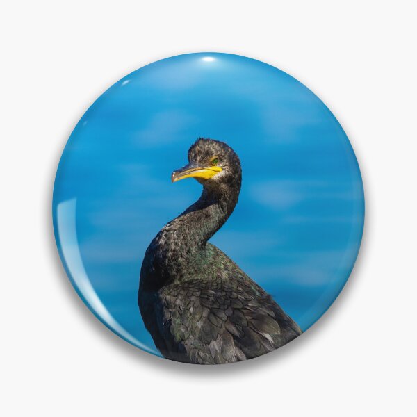 Item preview, Great Cormorant on the Adriatic Coast designed and sold by gabormedve.