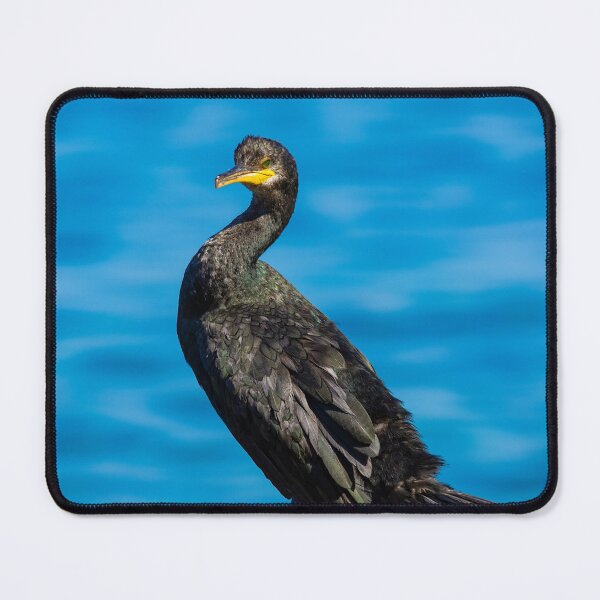 Item preview, Great Cormorant on the Adriatic Coast designed and sold by gabormedve.