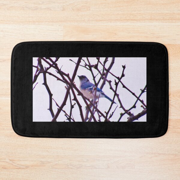 Item preview, Perched Blue Jay Amidst Bare Spring Branches designed and sold by AndreiMarthe.