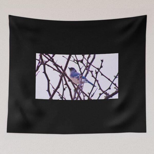 Item preview, Perched Blue Jay Amidst Bare Spring Branches designed and sold by AndreiMarthe.
