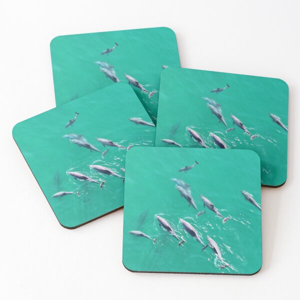 Item preview, Dolphins - aerial drone shot designed and sold by Rachel Elizabeth Photography.