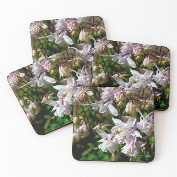 Item preview, The Purity of the White Columbine | Flower Photography | Nature Photography | Flower Portrait | Limited Edition designed and sold by ArtPrintsbyNathan.
