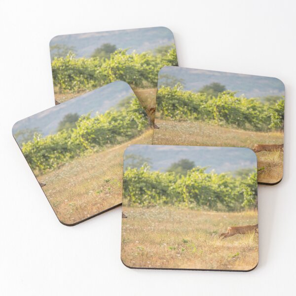 Item preview, Roe Deer During the Summer Rut designed and sold by gabormedve.