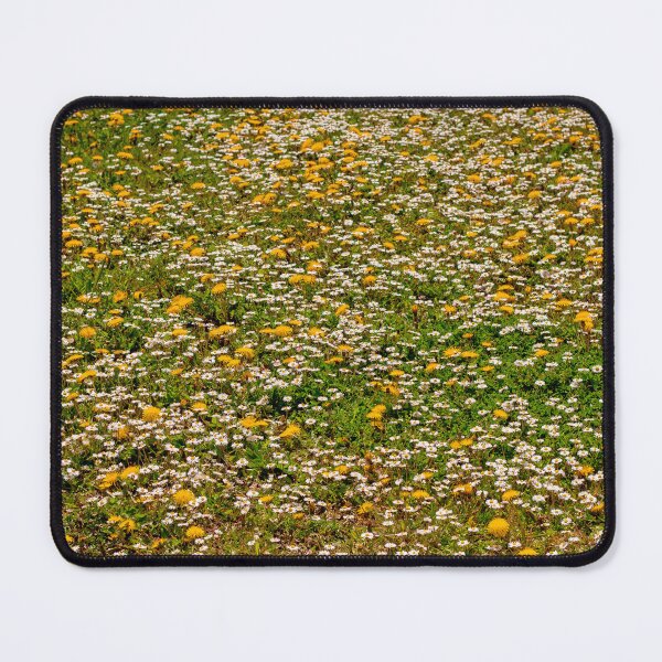 Item preview, Daisies and Dandelions | Topopo | Mono No Aware | Minimalism | Summer Flowers designed and sold by ArtPrintsbyNathan.