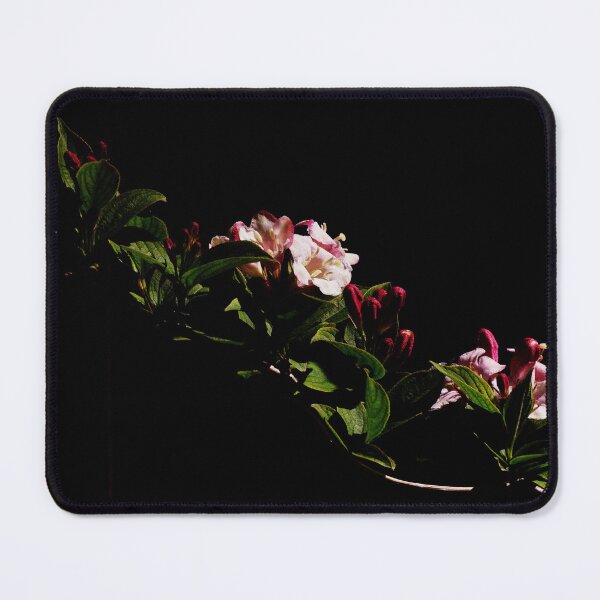 Item preview, Enduring Love | The Weigela Florida | Steadfast Resilience | Strength | Grace | Limited Edition designed and sold by ArtPrintsbyNathan.