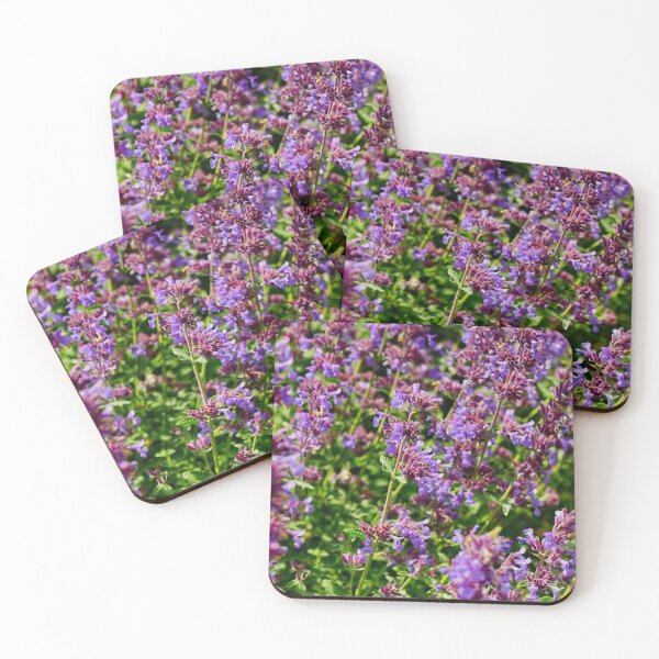 Item preview, Harlow Museum & Walled Gardens | The Flowers of Summer | Nature Photography | Minimalist Photography | Minimalist Nature Art designed and sold by ArtPrintsbyNathan.