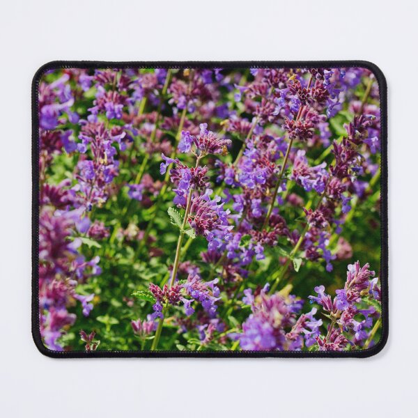 Item preview, Harlow Museum & Walled Gardens | The Flowers of Summer | Nature Photography | Minimalist Photography | Minimalist Nature Art designed and sold by ArtPrintsbyNathan.