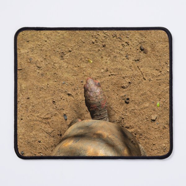 Item preview, Sunlit Tortoise on Earthy Ground designed and sold by ThaCriações.