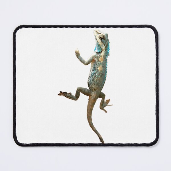 Item preview, Valorant Gekko  designed and sold by mckinnl-eykilby.
