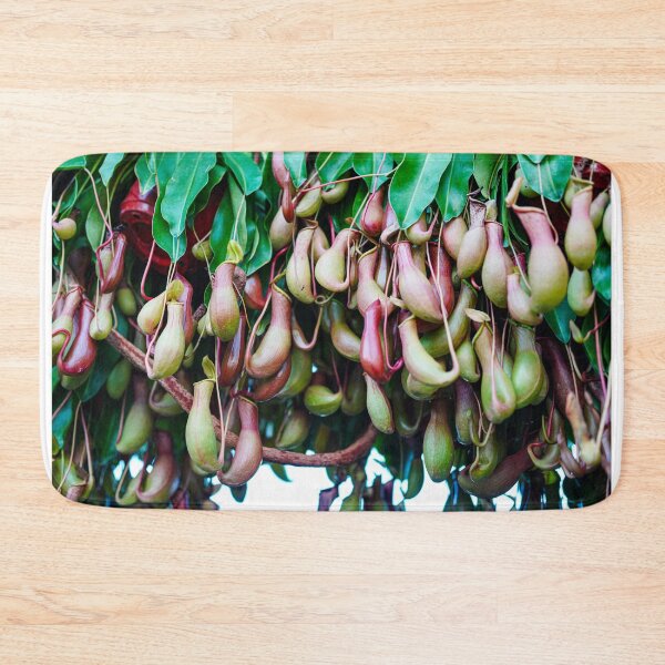 Item preview, Nature's Traps — Hanging Pitcher Plants, Tropical Carnivorous Garden designed and sold by Jomsunshine.