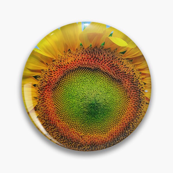 Item preview, Sun Salutation — Golden Sunflower Against a Blue Sky designed and sold by Jomsunshine.