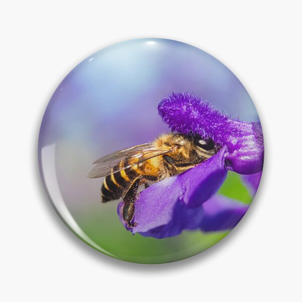 Item preview, The Pollinator — Honeybee on Purple Salvia Macro designed and sold by Jomsunshine.
