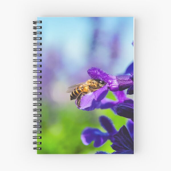 Item preview, The Pollinator — Honeybee on Purple Salvia Macro designed and sold by Jomsunshine.