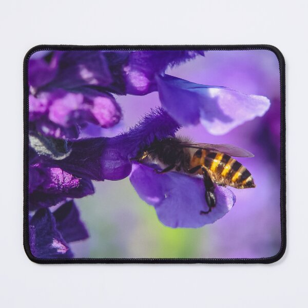 Item preview, Bee on purple lavender designed and sold by Jomsunshine.
