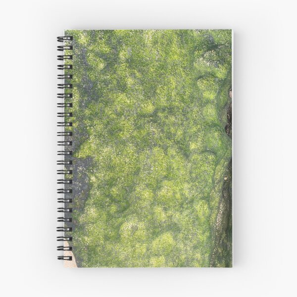 Item preview, Emerald Green Sea Moss Beach Rocks designed and sold by lyndseyart.