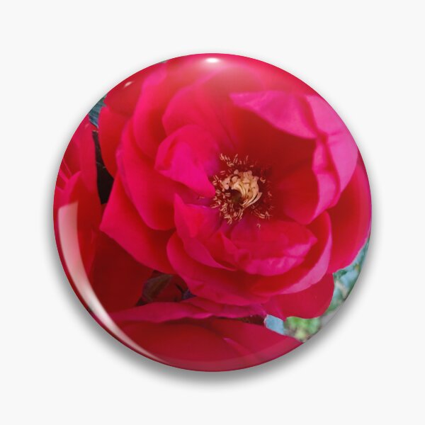 Item preview, Vibrant Red Rose designed and sold by Betsy Phillips.