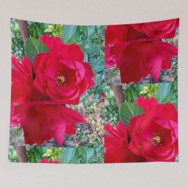 Item preview, Vibrant Red Rose designed and sold by Betsy Phillips.