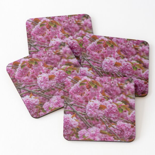 Item preview, Sakura, Hanami | Cherry Blossom | Spring Flowers | Pink Flowers | Minimalist Photography | Flower Photography | Limited Edition designed and sold by ArtPrintsbyNathan.
