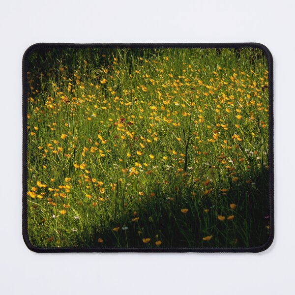 Item preview, The Joy of the Creeping Buttercup | Yellow Flowers | Spring Flowers | Optimism | Flower Art | Limited Edition designed and sold by ArtPrintsbyNathan.
