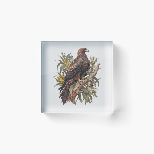 Item preview, Wedge-tailed Eagle Australia's Largest Bird of Prey Vintage Aussie Eagle with Wattle Art designed and sold by Yellowriversss.