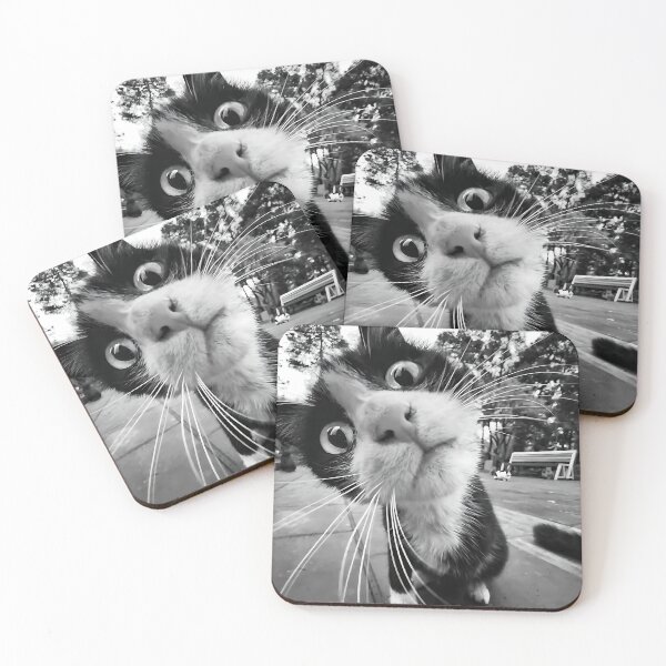 Item preview, The curious cat designed and sold by VisionCrafft.