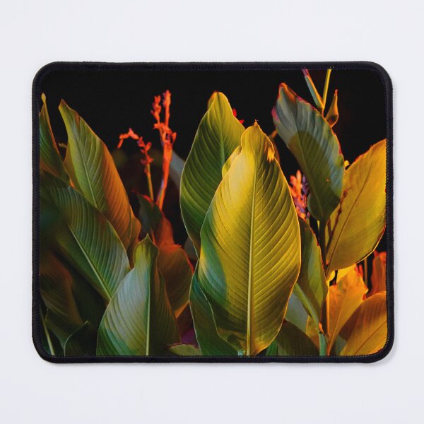 Item preview, Nature, plant, leaf, vegetation, designed and sold by citrarts.