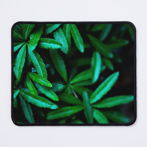 Item preview, Plant, vegetation, tree, nature, leaf designed and sold by citrarts.